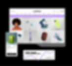Mobile and desktop website images in a left to right format with analytical site components to the right.