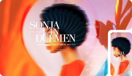 Sonja Van Duelman website.